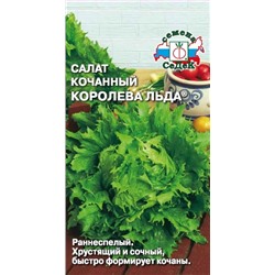 Салат Королева Льда кочанный СеДек