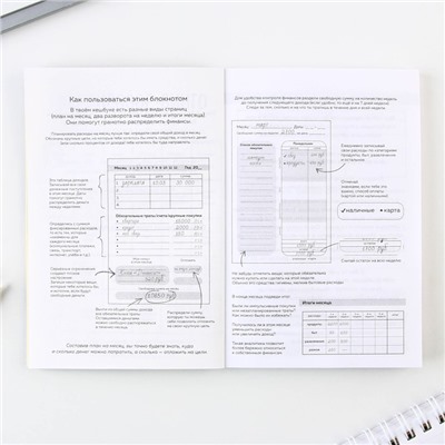 Умный блокнот для планирования финансов «Склерозница», формат А6, 68 листов.