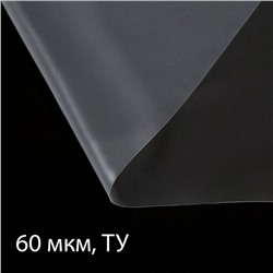 Плёнка полиэтиленовая прозрачная, 60 мкм, 3 × 5 м, рукав (1,5 м × 2), Эконом 50 %, Greengo