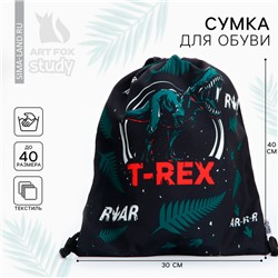 Мешок для обуви «1 сентября: T-REX» текстиль, размер 30 х 40 см