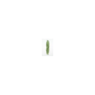 Искусственные цветы, Ветка зелени аспарагус свисающий (1010237)