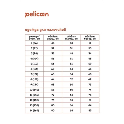 Пижама PELICAN #942974