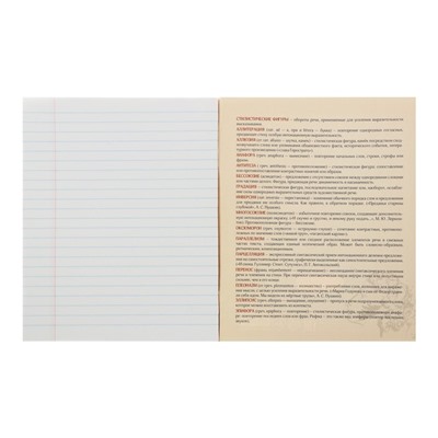Тетрадь предметная Calligrata "Неон", 48 листов в линию Литература, со справочным материалом, обложка мелованный картон, УФ-лак, блок офсет