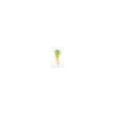 Искусственные цветы, Ветка зелени осока свисающая (1010237)