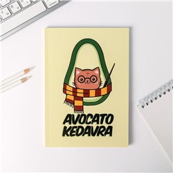 Ежедневник в тонкой обложке Avocato kedavra А5, 80 листов