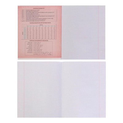 Тетрадь предметная Calligrata "СуперНеон", 48 листов в клетку Алгебра, со справочным материалом, обложка мелованный картон, блок офсет