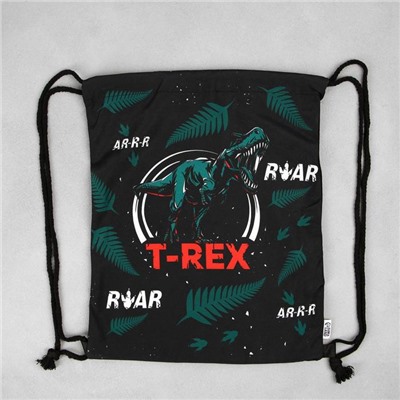 Мешок для обуви «1 сентября: T-REX» текстиль, размер 30 х 40 см