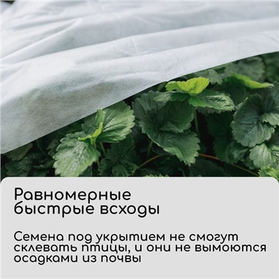 Материал укрывной, 10 × 2,1 м, плотность 30 г/м², белый, спанбонд с УФ-стабилизатором, Greengo, Эконом 30%