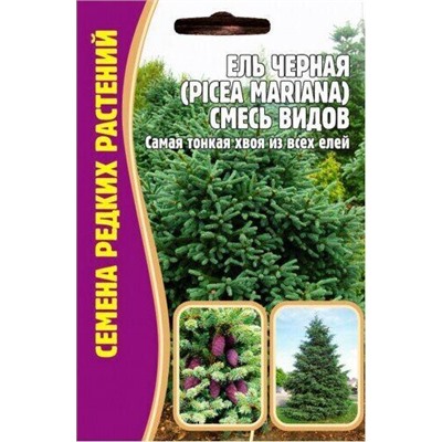 Ель черная Picea mariana смесь 20шт (Ред.сем)