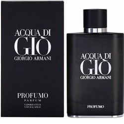 Giorgio Armani Acqua di Gio Profumo EDP 100ml (M)