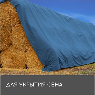 Тент защитный, 4 × 3 м, плотность 60 г/м², УФ, люверсы шаг 1, тарпаулин, синий