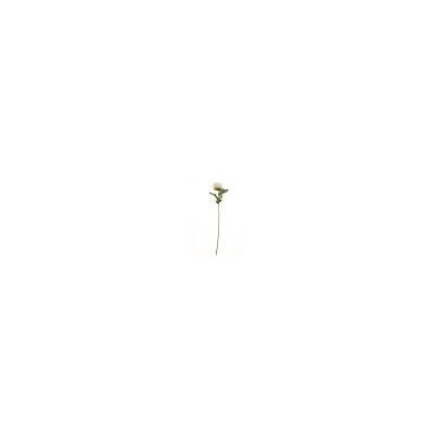 Искусственные цветы, Ветка одиночная хризантема (1010237)