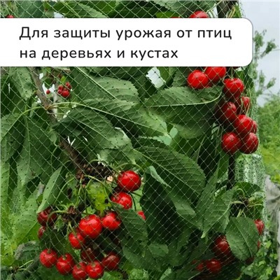 Сетка садовая, мягкая, 5 × 2 м, ячейка 8 × 8 мм, от птиц, Greengo