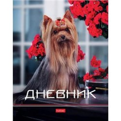 Дневник 1-11 класс (твердая обложка) "Милый йорк" (078808) 28416 Хатбер {Россия}