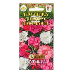 Семена Цветов Гвоздика  "Диантус Плюмарис", 0 ,1 г   1029118