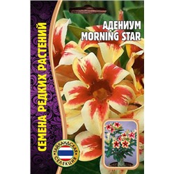 Адениум MORNING STAR 3шт (Ред.Сем)