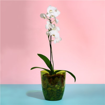 Горшок для орхидей, 2 л, 14,8 × 16,2 см, круглый, пластик, прозрачно-зелёный