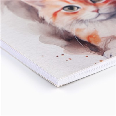 Альбом для рисования 40 листов на пружине А4 «1 сентября:Три котика»