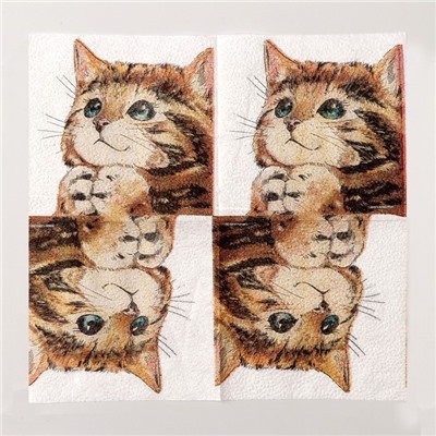 Салфетки бумажные однослойные «Котёнок», набор 100 штук, 24 × 24 см
