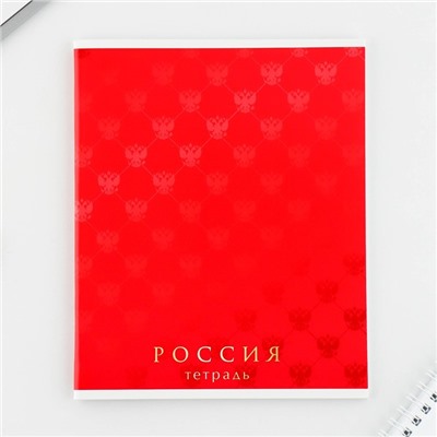 Тетрадь в клетку, 48 листов А5 на скрепке МИКС «1 сентября: Шрифтовые яркие», обложка мелованный картон 230 гр., внутренний блок №1, белизна 96%