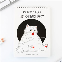 Скетчбук А5, 40 л 100 г/м2 "Кот"