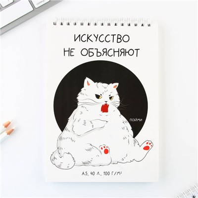 Скетчбук А5, 40 л 100 г/м2 "Кот"