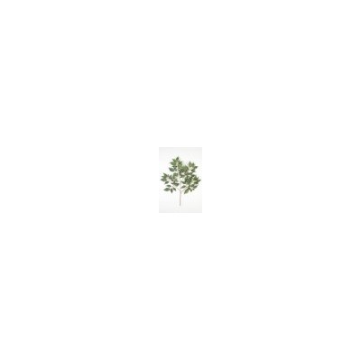 Искусственные цветы, Ветка кустовая 72 листа (1010237) зеленый