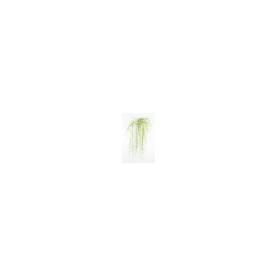 Искусственные цветы, Ветка зелени водоросли свисающая (1010237) зеленый