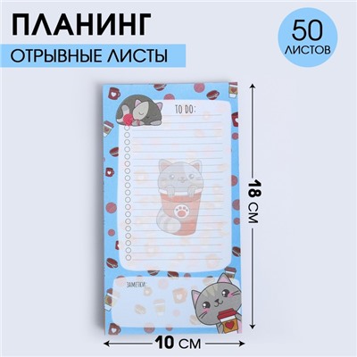 Планинг с отрывными листами, 50 л  "Котик. To do"