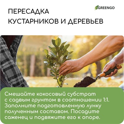 Субстрат кокосовый в брикете, 65 л, 30% чипсы и 70% торф, Greengo