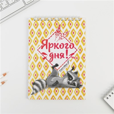 Скетчбук «Енот» А5, 40 л, 100 г/м