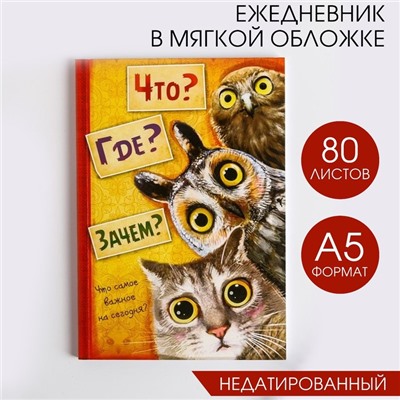 Ежедневник "Что? Где? Зачем?", А5, 80 листов