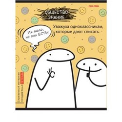 Тетрадь 48л "Школьные мемасики" по обществознанию 48-9657 Проф-Пресс {Россия}