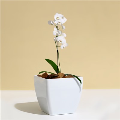 Горшок для цветов, 15 × 15 см, 2,5 л, пластик, белый