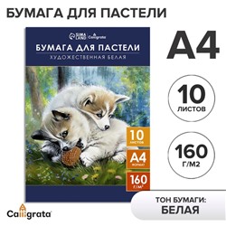 Бумага для пастели А4, 10 листов "Щенки", блок 160 г/м2, в папке